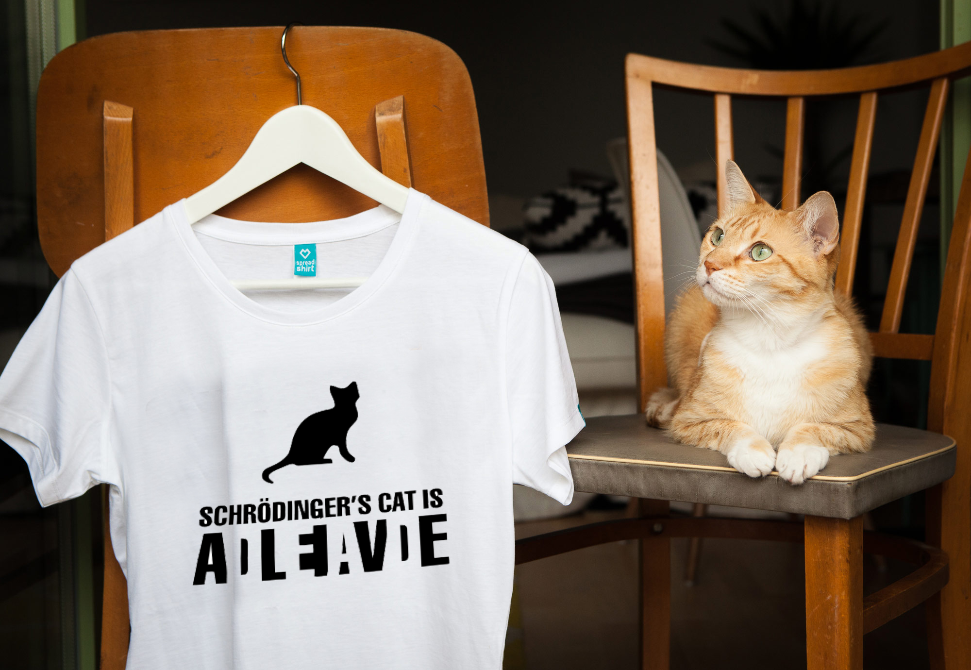 Chat de Schrödinger – A(live)/(dead) – Humour Maths
