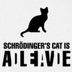 Chat de Schrödinger